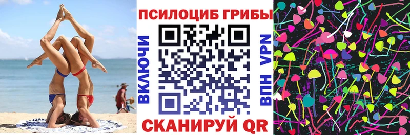 ссылка на мегу маркетплейс  Альметьевск  Псилоцибиновые грибы GOLDEN TEACHER  дарнет шоп 