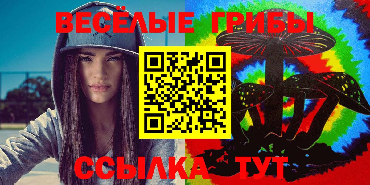 Альметьевск  Галлюциногенные грибы ЛСД  Вход с VPN 
